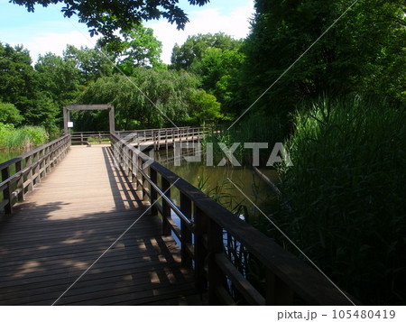 西東京いこいの森公園 105480419