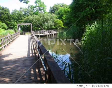 西東京いこいの森公園 西東京いこいの森公園 105480420