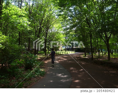西東京いこいの森公園 105480421