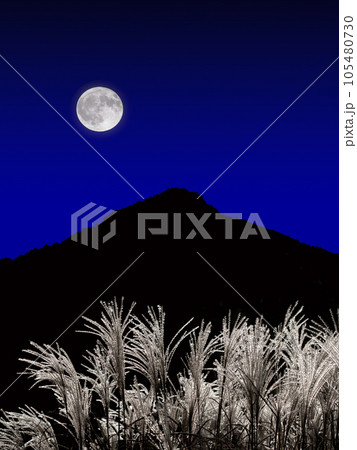 満月とススキ 105480730