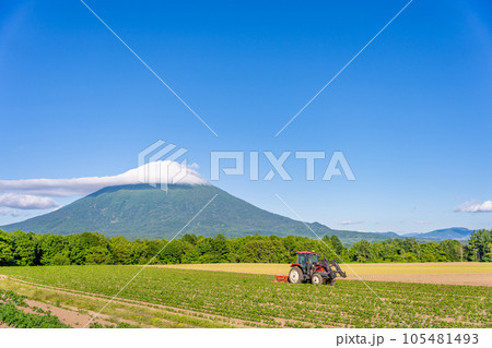ニセコ 羊蹄山 美しい農地 トラクター ニセコ 羊蹄山 美しい農地 トラクター 105481493