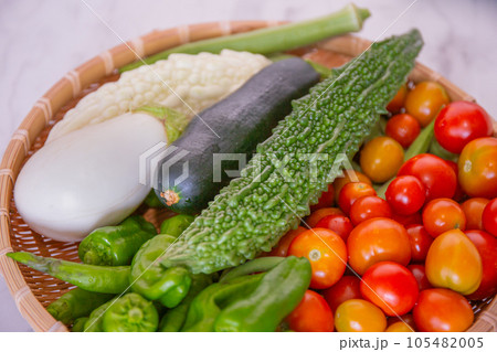 家庭菜園の夏野菜収穫（白ナスビ、トマト、ピーマン、オクラ、ゴーヤ、白ゴーヤ、ズッキーニ） 105482005