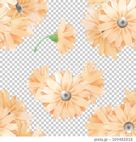 橙色非洲菊的無縫插圖 橙色非洲菊的無縫插圖 105482018