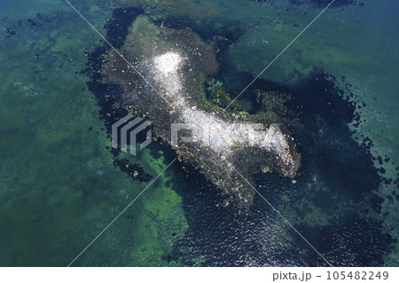 空から見た岩礁（北海道 アルトリ岬） 105482249