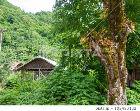 A dilapidated abandoned building in nature. Ruins of an old house. A dilapidated abandoned building in nature. Ruins of an old house. 105483132