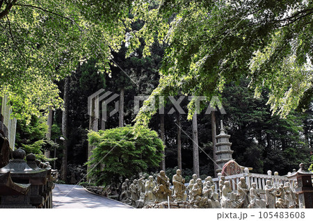 四国遍路の旅 第六十六番札所雲辺寺 四国遍路の旅 第六十六番札所雲辺寺 105483608