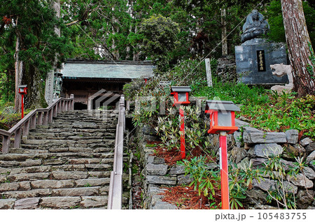 四国遍路の旅 第十二番焼山寺 四国遍路の旅 第十二番焼山寺 105483755