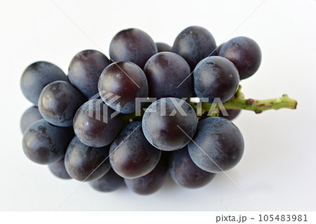 新鮮な葡萄 新鮮な葡萄 105483981