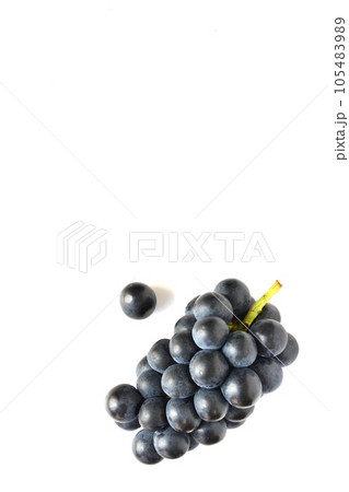 新鮮な葡萄 105483989