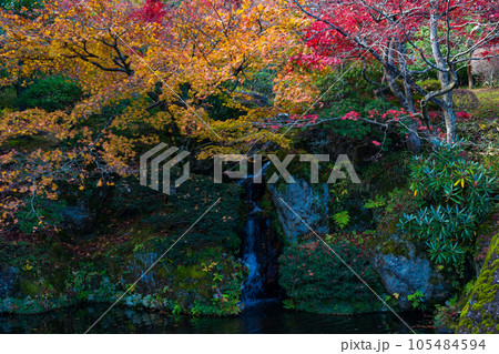 日本屈指の観光地 箱根の秋 紅葉の箱根美術館 神仙郷 日本屈指の観光地 箱根の秋 紅葉の箱根美術館 神仙郷 105484594