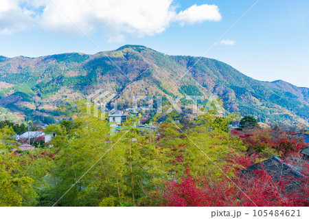 日本屈指の観光地 箱根の秋 紅葉の箱根美術館 神仙郷 日本屈指の観光地 箱根の秋 紅葉の箱根美術館 神仙郷 105484621