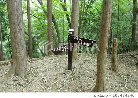 大休場尾根の道標(本仁田山~奥多摩駅:東京都西多摩郡奥多摩町) 大休場尾根の道標(本仁田山~奥多摩駅:東京都西多摩郡奥多摩町) 105484846