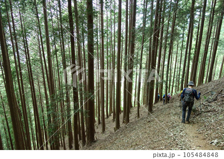 大休場尾根（本仁田山～奥多摩駅：東京都西多摩郡奥多摩町） 105484848