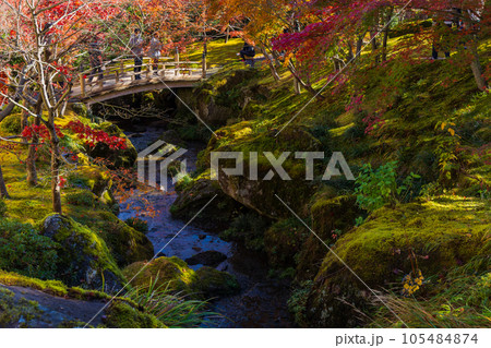 日本屈指の観光地 箱根の秋 紅葉の箱根美術館 神仙郷 日本屈指の観光地 箱根の秋 紅葉の箱根美術館 神仙郷 105484874