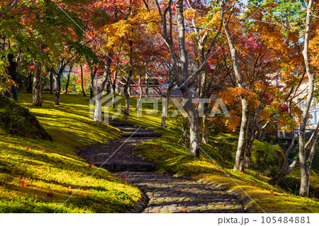 日本屈指の観光地 箱根の秋 紅葉の箱根美術館 神仙郷 日本屈指の観光地 箱根の秋 紅葉の箱根美術館 神仙郷 105484881