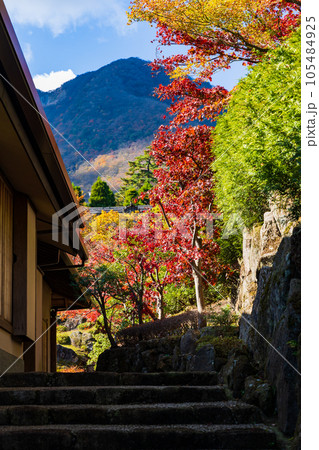 日本屈指の観光地 箱根の秋 紅葉の箱根美術館 神仙郷 日本屈指の観光地 箱根の秋 紅葉の箱根美術館 神仙郷 105484925