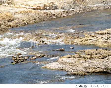 夏(7月)の加古川(兵庫県西脇市内)。 105485377
