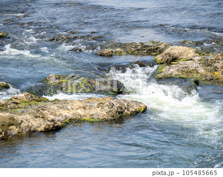 夏(7月)の加古川(兵庫県西脇市内)。 105485665