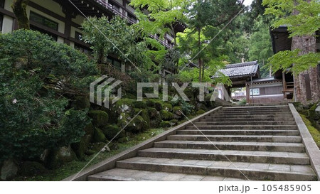 永平寺の風景【日本・福井】 永平寺の風景【日本・福井】 105485905