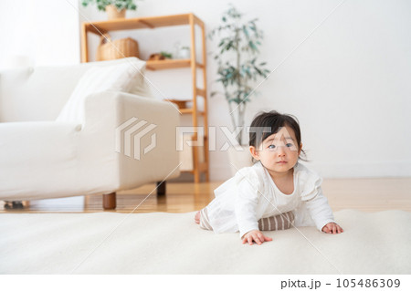 生後9ヶ月の赤ちゃん 生後9ヶ月の赤ちゃん 105486309