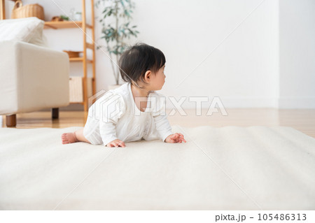 生後9ヶ月の赤ちゃん 生後9ヶ月の赤ちゃん 105486313