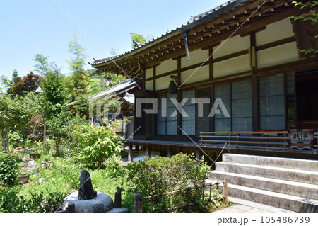 初夏の円覚寺　鎌倉市 105486739