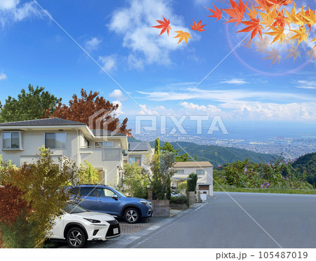 秋の紅葉舞い散る　戸建て住宅の街並み 105487019