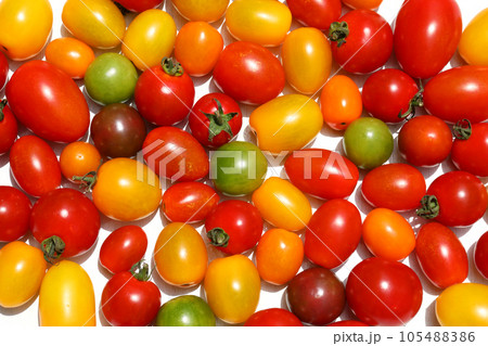 カラフルなミニトマト 105488386