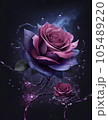 綺麗な紫の薔薇 105489220