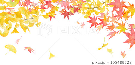 秋に色づいた紅葉とイチョウの水彩イラスト。秋をイメージしたバナー背景。 105489528
