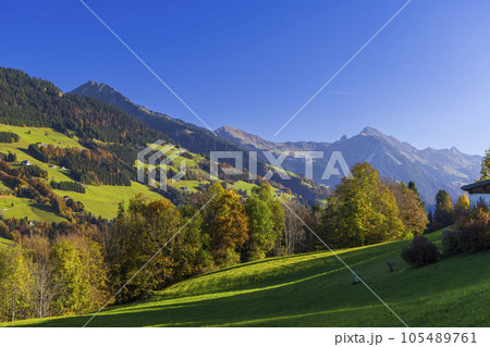 Typical landscape near Sankt Gerold and Bludenz, Bregenzer Wald, Bregenz district, Vorarlberg, Austria 105489761