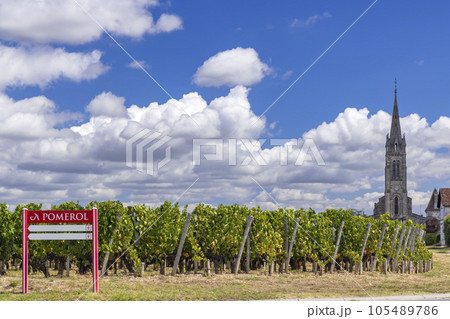 Typical vineyards near Pomerol, Aquitaine, France 105489786