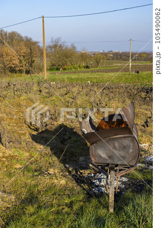 Spring vineyards near Givry, Burgundy, France 105490062