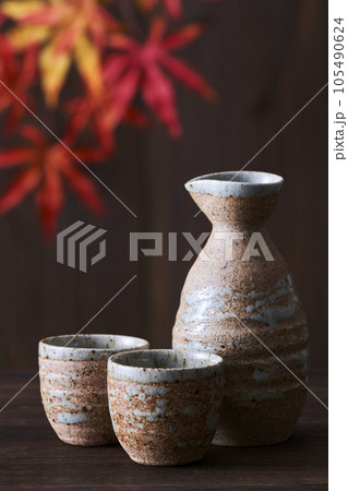 徳利と御猪口のセットと色づいたモミジ 徳利と御猪口のセットと色づいたモミジ 105490624