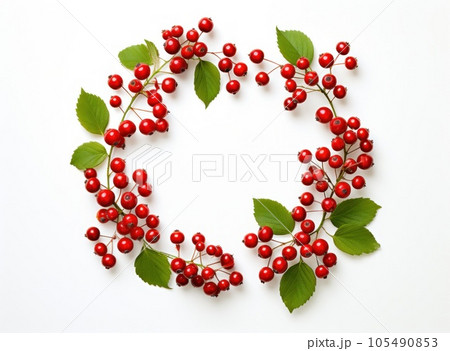 Natural background with red berries 105490853