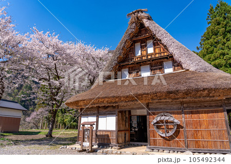 富山県五箇山 桜咲く春の菅沼合掌造り集落の中の五箇山民俗館 富山県五箇山 桜咲く春の菅沼合掌造り集落の中の五箇山民俗館 105492344