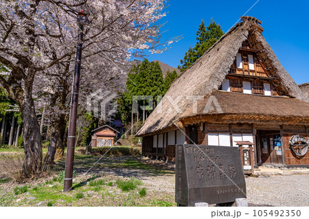 富山県五箇山 桜咲く春の菅沼合掌造り集落の中の五箇山民俗館 富山県五箇山 桜咲く春の菅沼合掌造り集落の中の五箇山民俗館 105492350