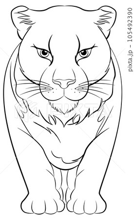 Outline of Female Lion Cartoon for Colouring 105492390
