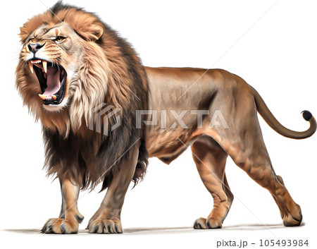 Lion Images – Browse 985,574 Stock Photos, Vectors, and Video