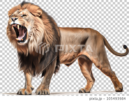 ライオンのイメージ - image of Lion No1-6 -のイラスト素材