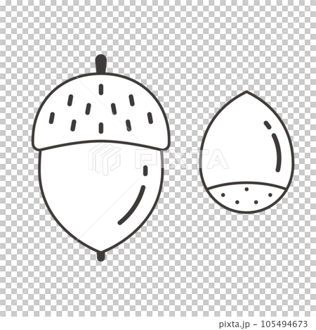 シンプルなどんぐりの線画イラスト シンプルなどんぐりの線画イラスト 105494673