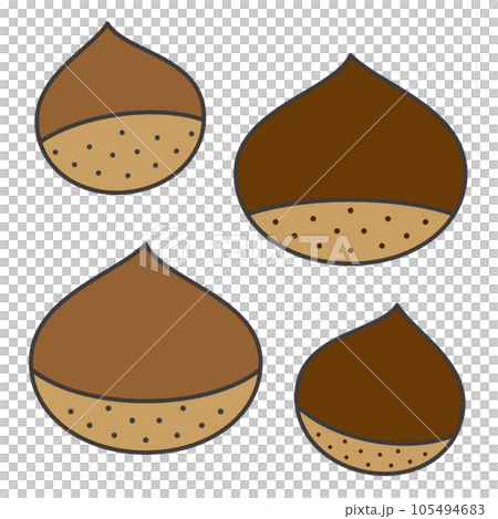 Simple and cute chestnut illustration set Simple and cute chestnut illustration set 105494683