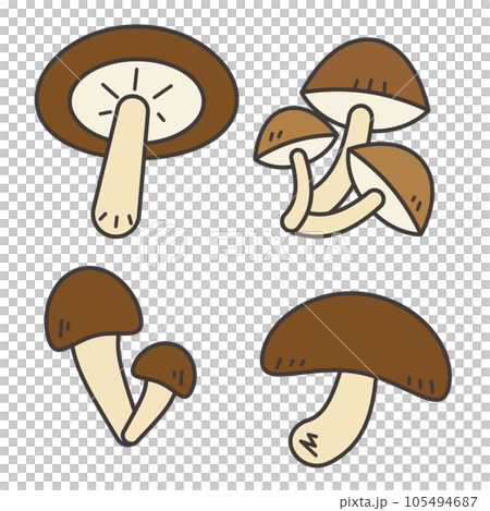 Illustration set of simple and cute shiitake mushrooms and mushrooms Illustration set of simple and cute shiitake mushrooms and mushrooms 105494687