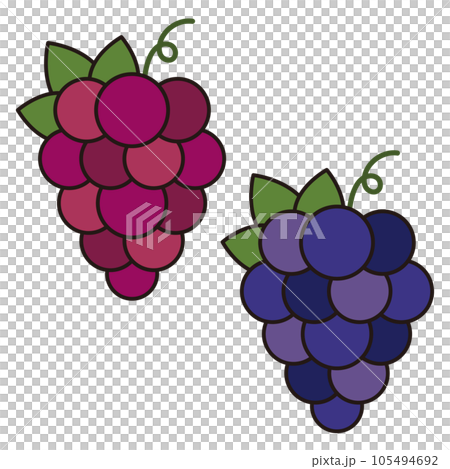 一組簡單可愛的葡萄插畫 105494692