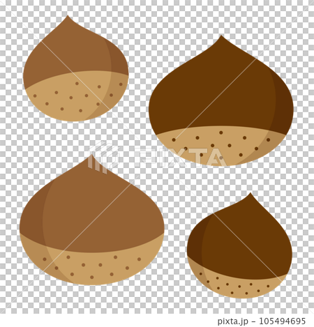 Simple and cute chestnut illustration set No main line 105494695
