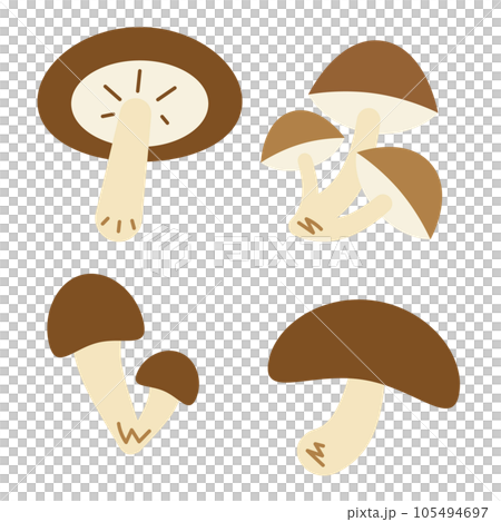 かわいい椎茸やキノコの主線なしイラスト 105494697