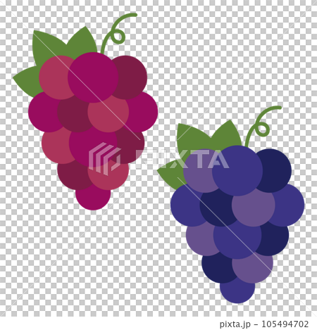 Illustration without main line of simple and cute grapes Illustration without main line of simple and cute grapes 105494702