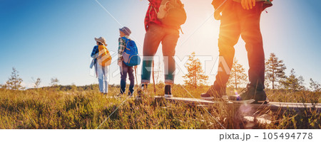 Family walking on the footpath on the bog in Estonia. 105494778