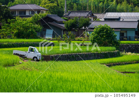 軽トラが停まるな棚田風景 中野の棚田 軽トラが停まるな棚田風景 中野の棚田 105495149