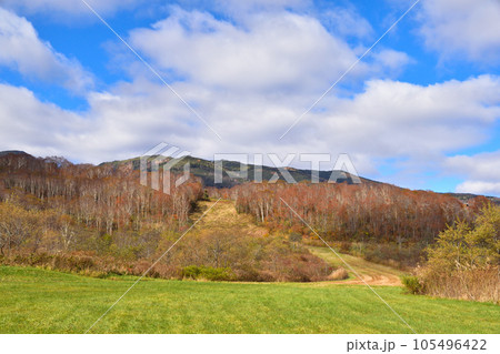 秋 田代高原 苗場山 秋 田代高原 苗場山 105496422